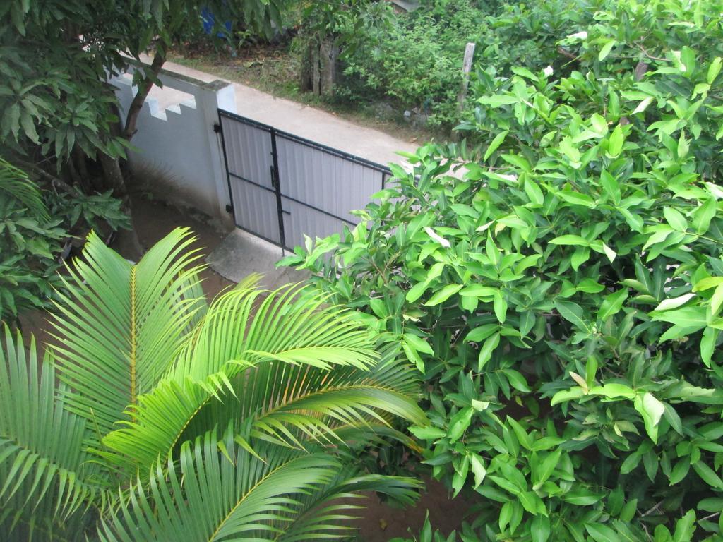 Bay Reach Home Stay Weligama Ngoại thất bức ảnh