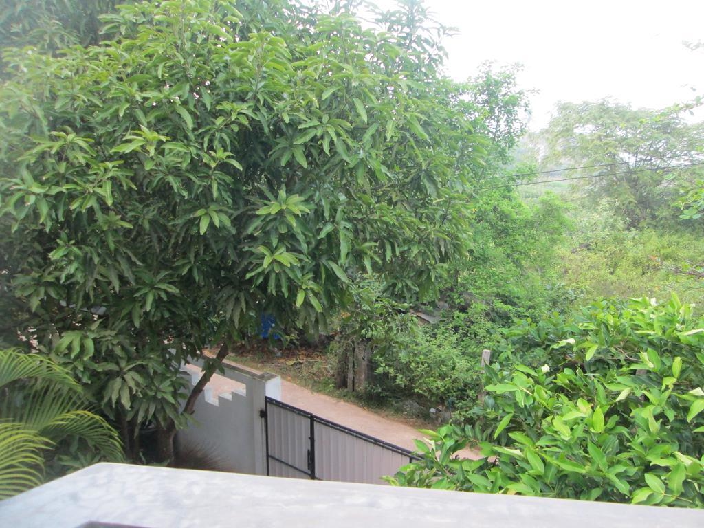 Bay Reach Home Stay Weligama Ngoại thất bức ảnh